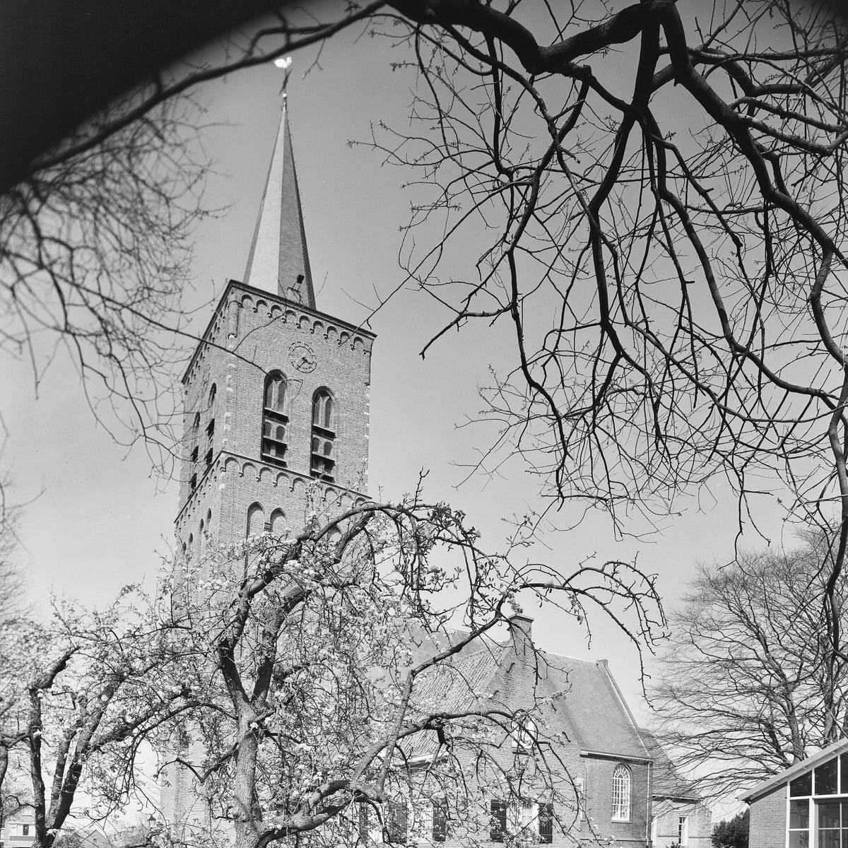 Webdesign Wijk en Aalburg